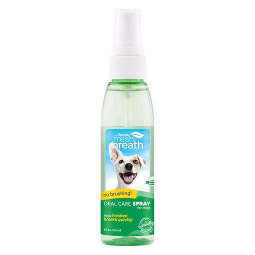 Tropiclean Fresh Breath Spray - 4 oz