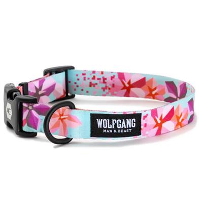 Wolfgang Dog Collars