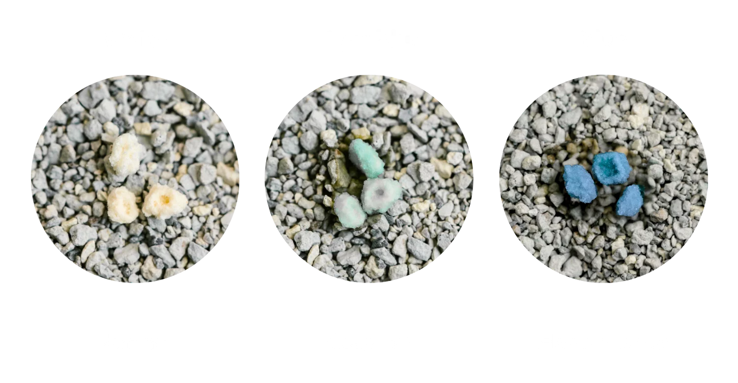 Intersand Odor Lock Max care Unscented Cat Litter - 25 lb