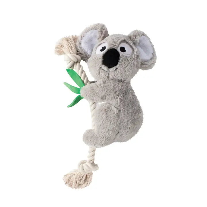 Toy Box Dog Toys