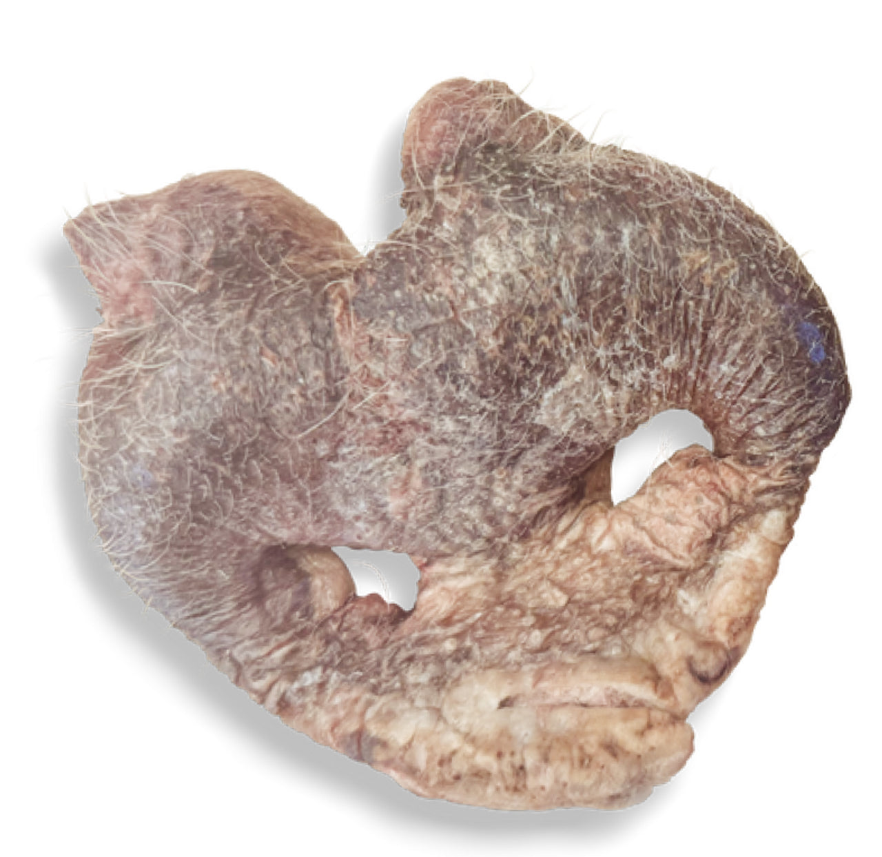 Momentum Freeze-dried Raw Treat