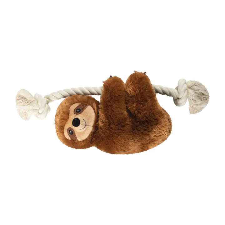 Toy Box Dog Toys