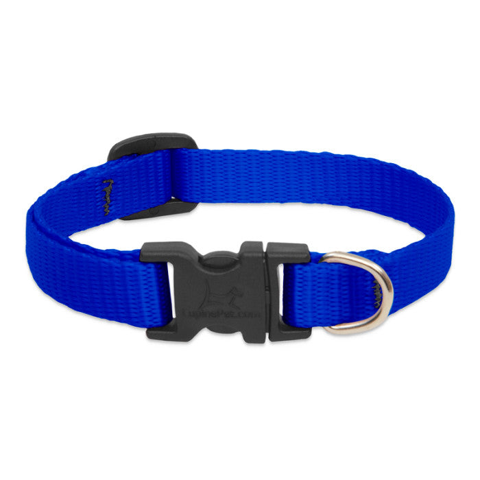 Lupine Basics Dog Collars
