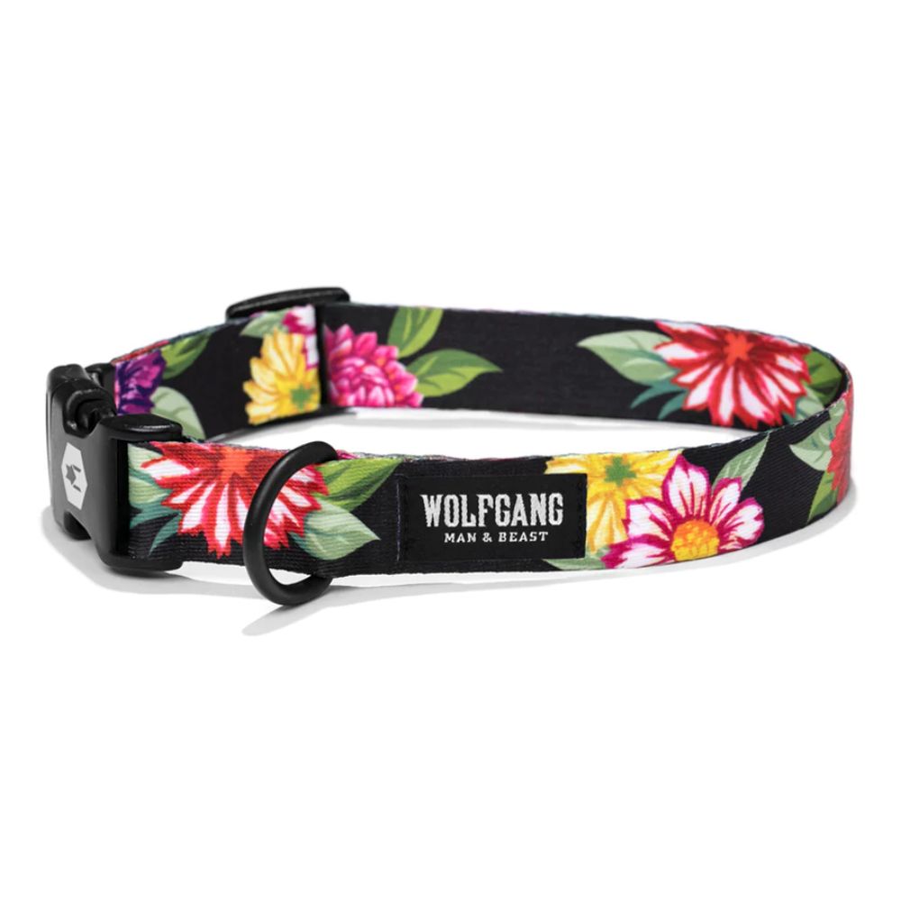 Wolfgang Dog Collars