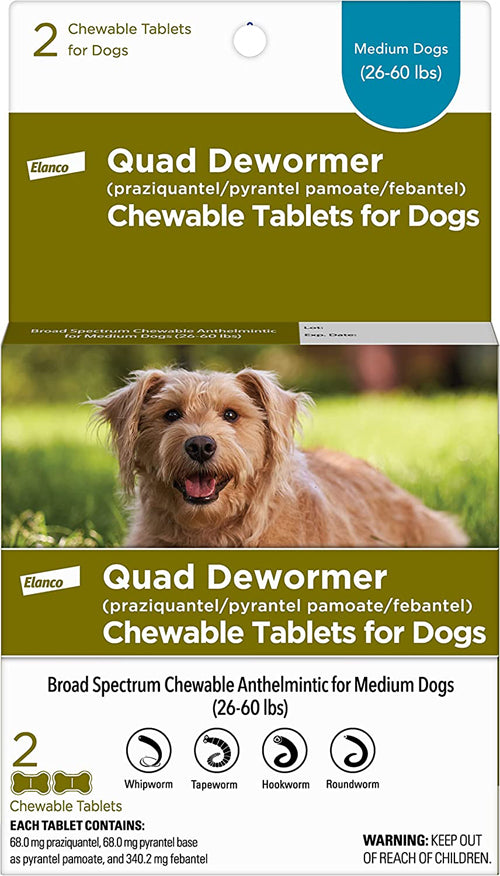 Bayer Quad Dewormer- Dog
