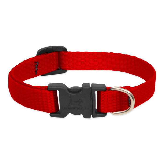 Lupine Basics Dog Collars