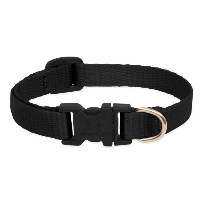 Lupine Basics Dog Collars