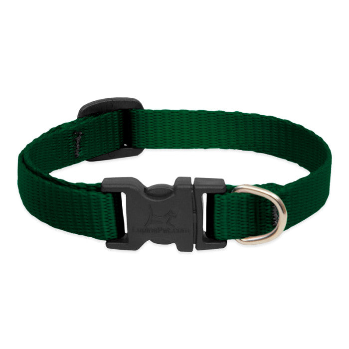 Lupine Basics Dog Collars