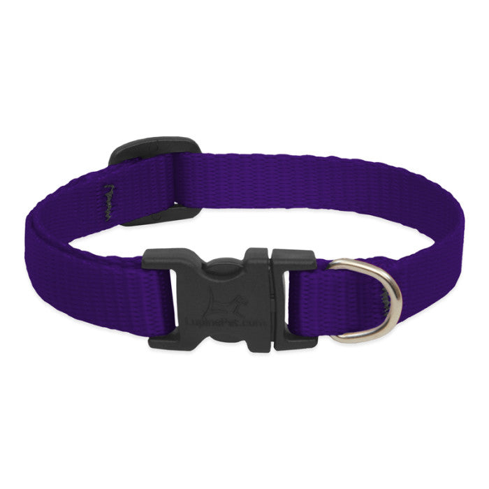 Lupine Basics Dog Collars