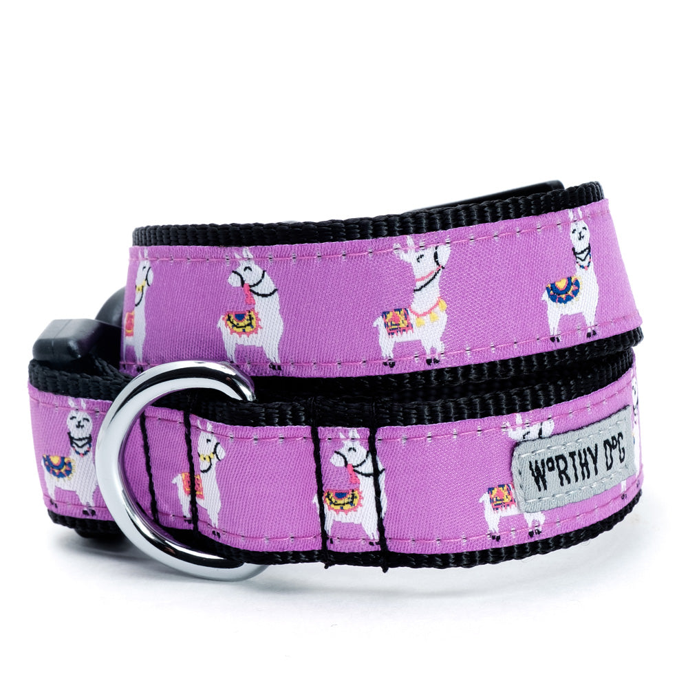 The Worthy Dog Collars