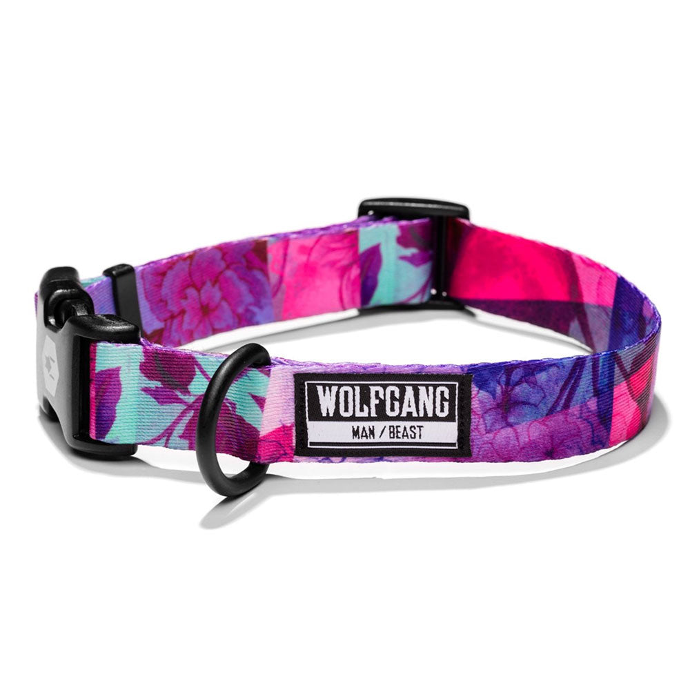 Wolfgang Dog Collars