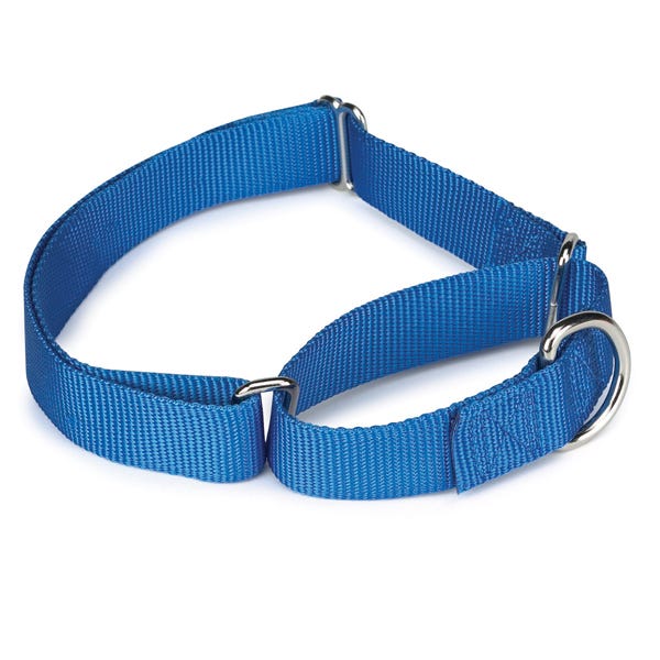 Guardian Gear Nylon Martingale Collar