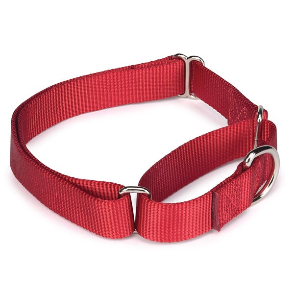 Guardian Gear Nylon Martingale Collar
