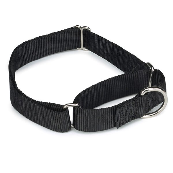 Guardian Gear Nylon Martingale Collar