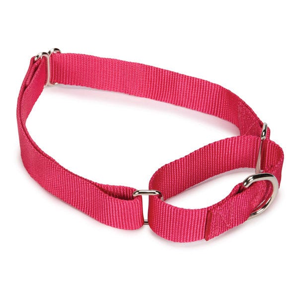 Guardian Gear Nylon Martingale Collar