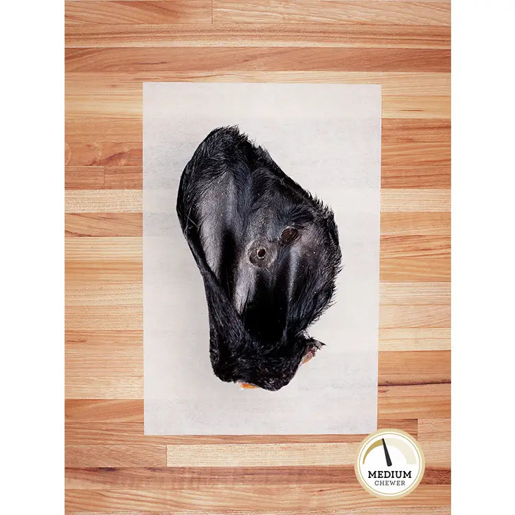 Hairy Cow Ear - 1 Count