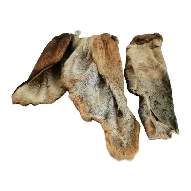 Hairy Goat Ears - 1 Count