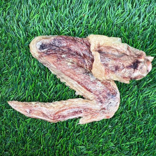 Freeze-Dried Duck Wing - 1 Count