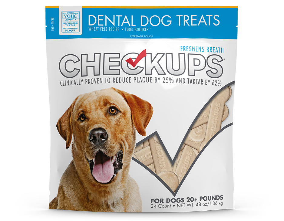 Checkups Dental Treat