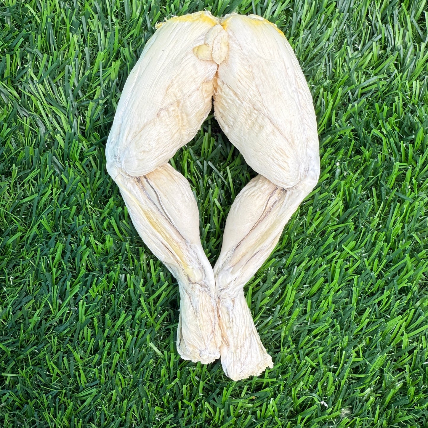 Freeze-Dried Frog Legs - 1 Count