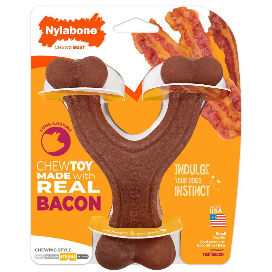 Nylabone Strong Chewer Toys