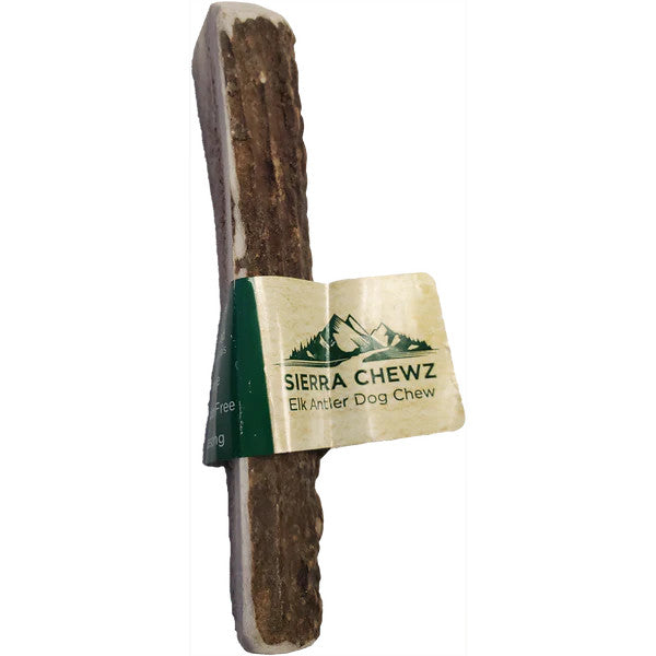 Elk Antler