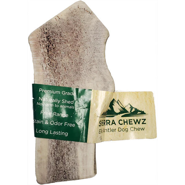 Elk Antler