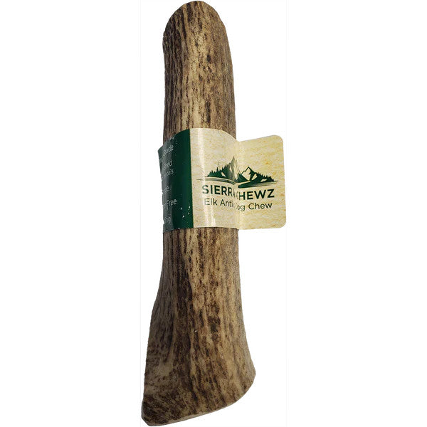 Elk Antler