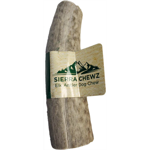 Elk Antler