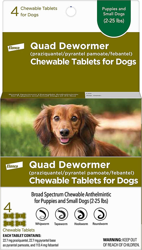 Bayer Quad Dewormer- Dog