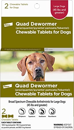 Bayer Quad Dewormer- Dog