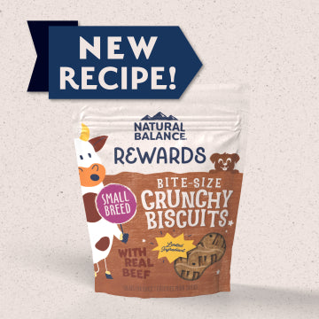 Natural Balance Rewards Crunchy Biscuits