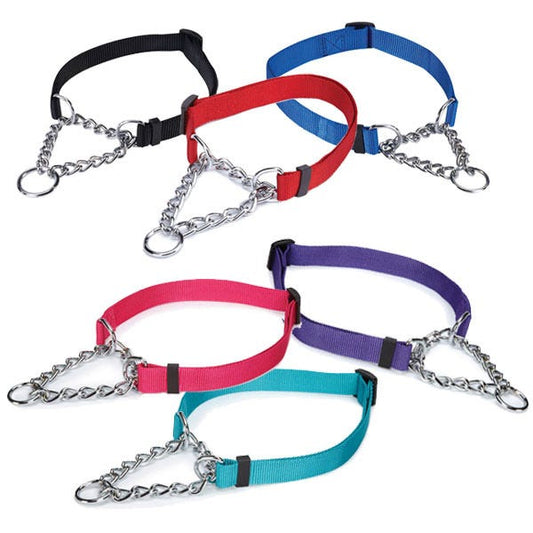 Guardian Gear Nylon Martingale Collar with chain